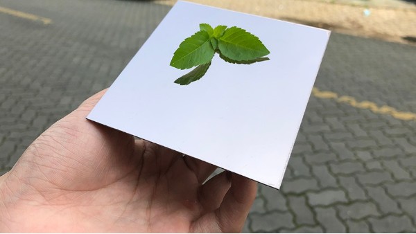 為什么彩色不銹鋼裝飾板會大受歡迎？