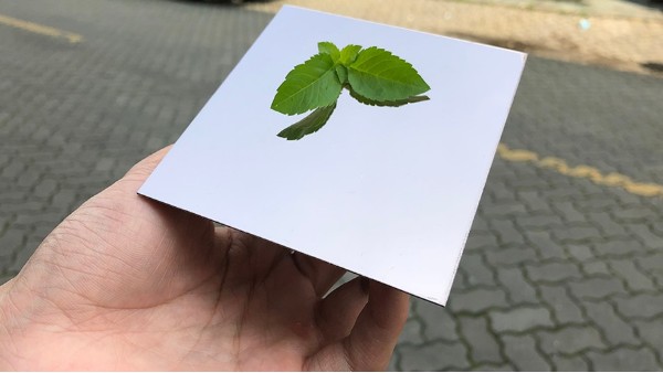 不銹鋼鏡面如有劃痕怎么處理？